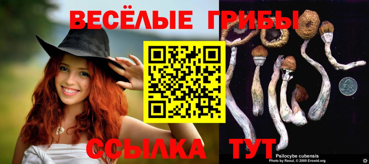 Галлюциногенные грибы MAGIC MUSHROOMS  Галлюциногенные грибы Psilocybe  Вход с VPN  Ессентуки 